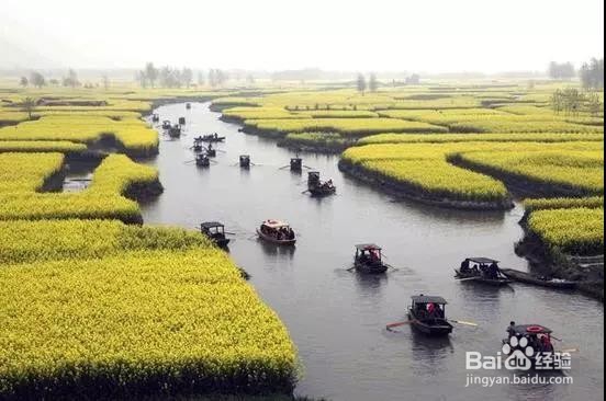 7个最合适早春三月旅行的地方