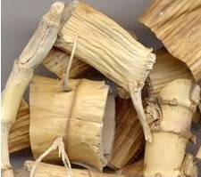 宝宝口疮的发病原因以及治疗偏方