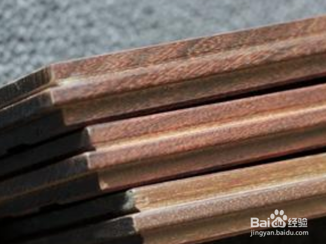 木蚁怎样识别？