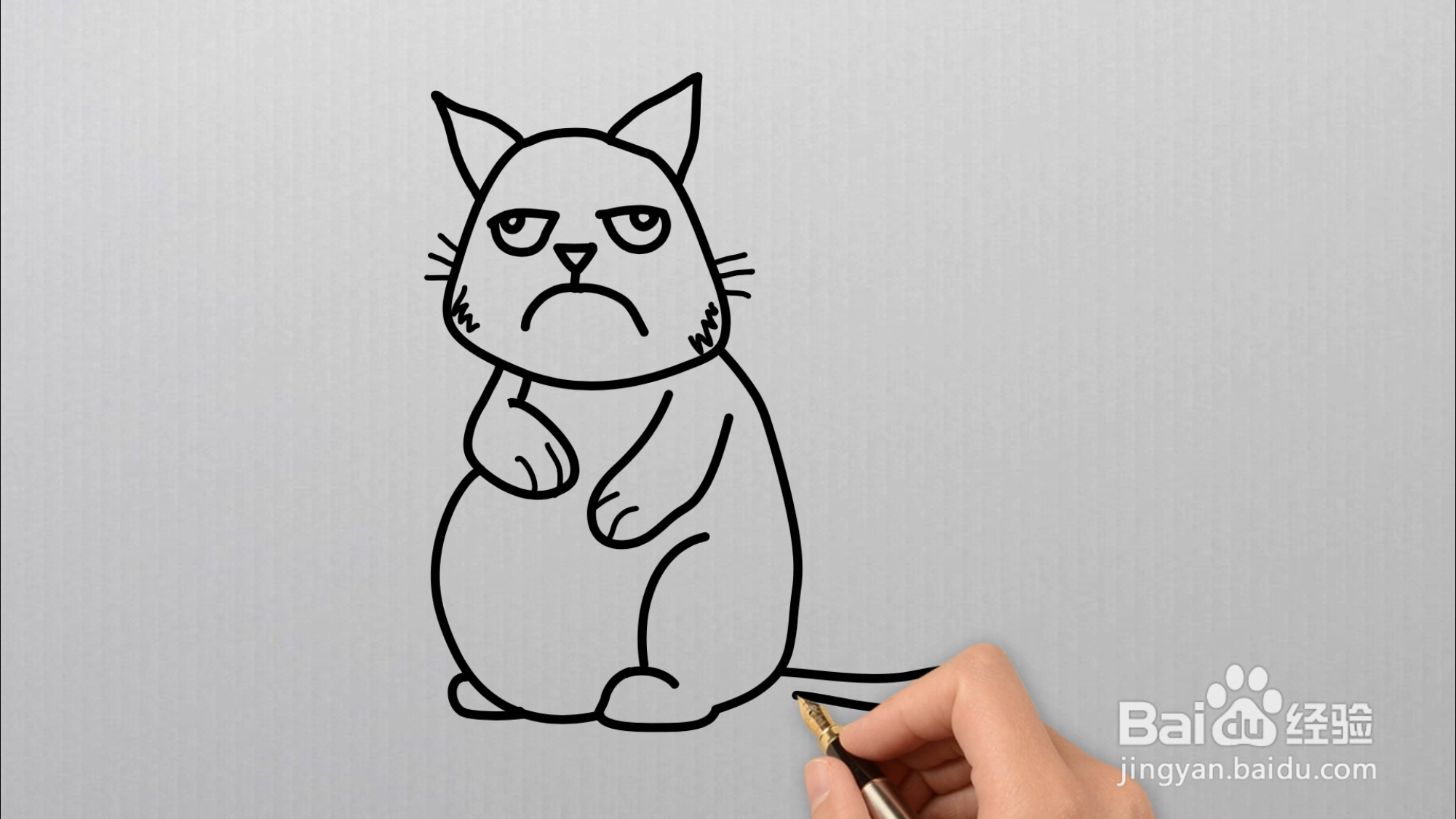 猫应该怎么画