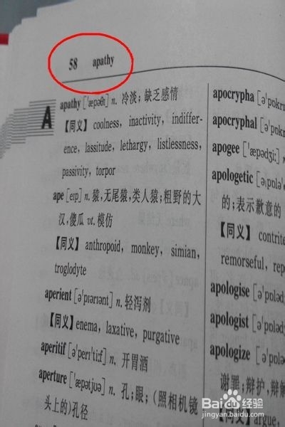怎样使用英语词典查单词