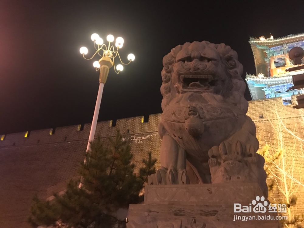 怎样拍摄石狮子