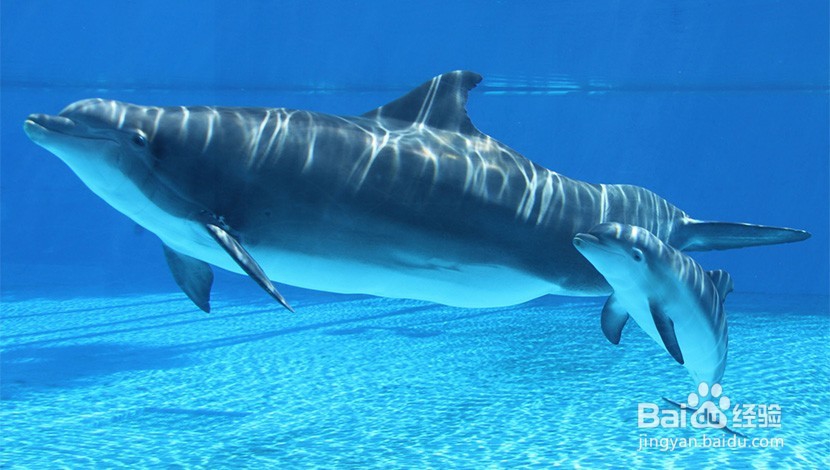 拉斯维加斯9月旅游攻略