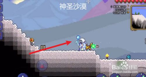 泰拉瑞亚韧皮防御是什么