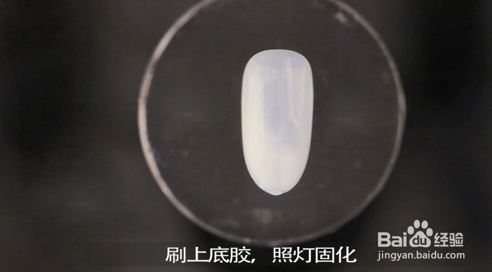 怎样做多色带铆钉的豹纹指甲？