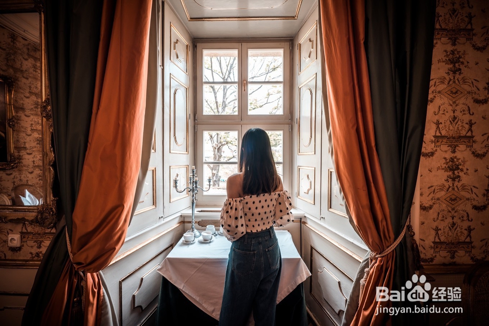 波兰古堡旅游简记10