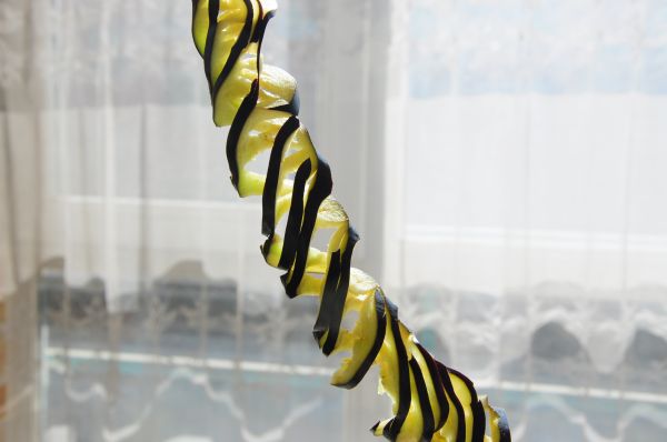 蓑衣茄子素番茄