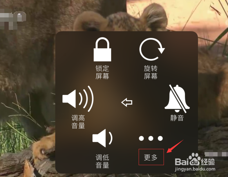苹果手机如何在视频中截图？