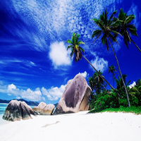 春节旅游去哪里