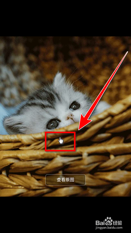 相册管家备份的照片怎么恢复到手机