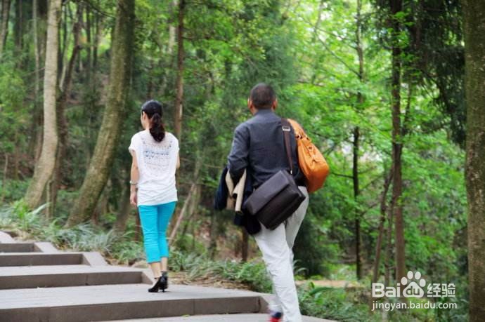 如何在旅行途中不吵架?