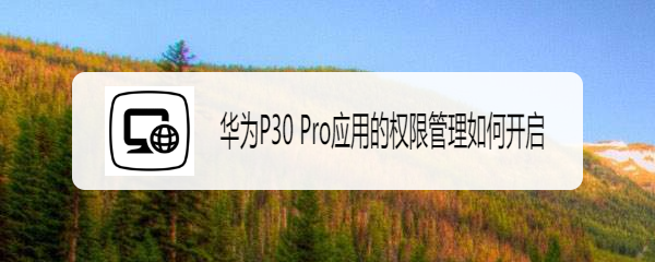 华为P30 Pro应用的权限管理如何开启