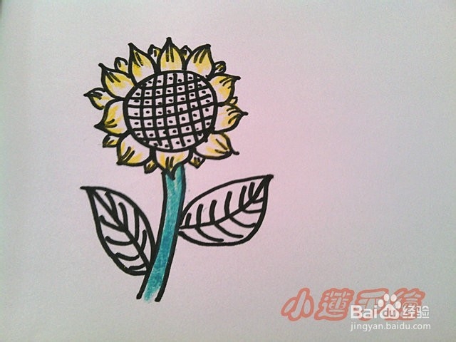 油画棒植物篇3向日葵