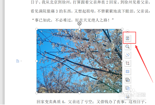 Word文字技巧—如何设置文字环绕图片