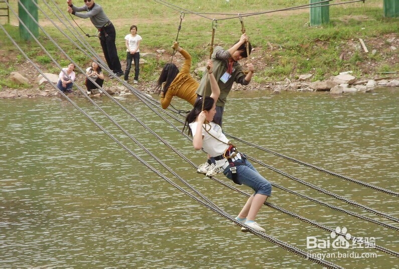 如何在野外竞技场里表现出色