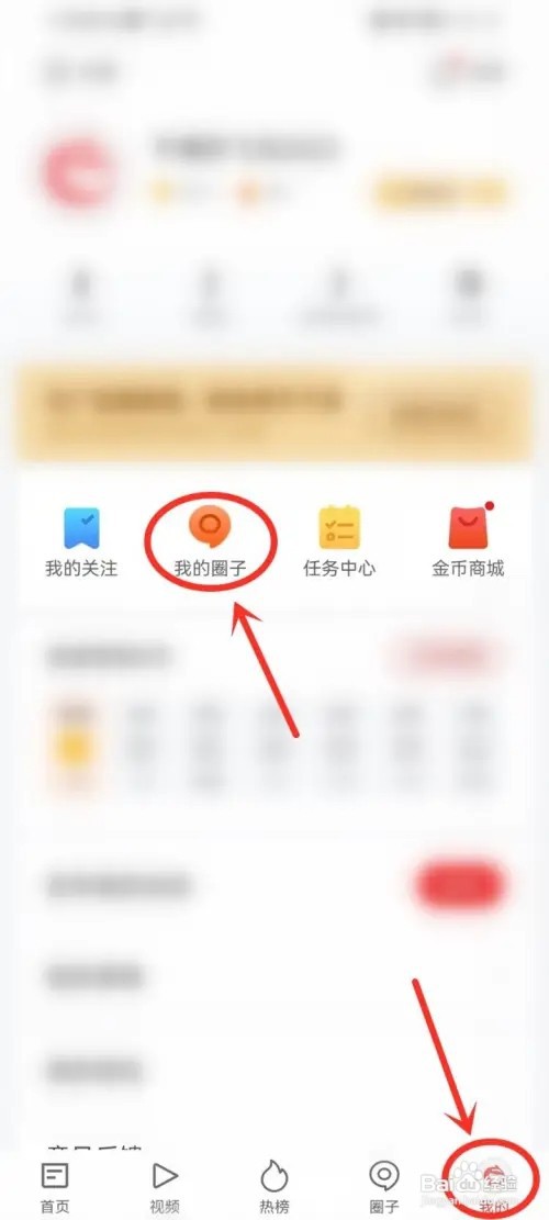 网易新闻圈子打卡在哪？