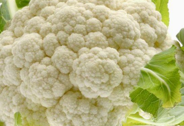 花菜放久了发芽了，是否可以食用