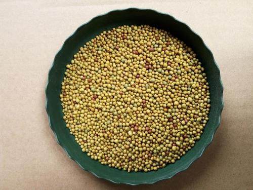 奥绿肥适合哪些植物