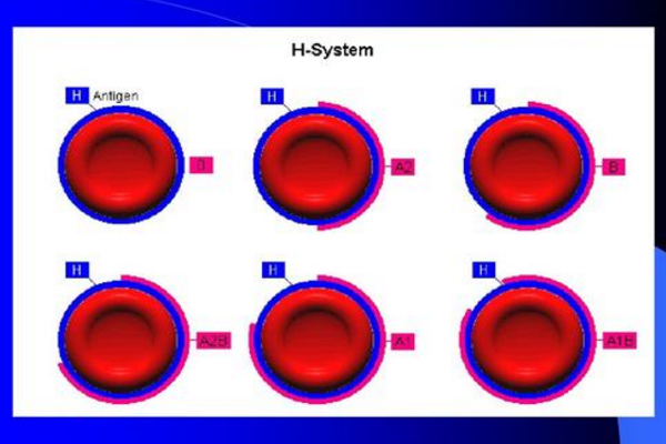 alpha标记alpha是不是哪里不对