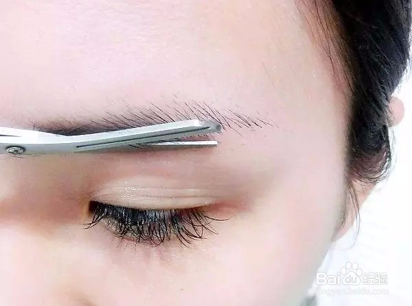 眉毛比列的正确画法!