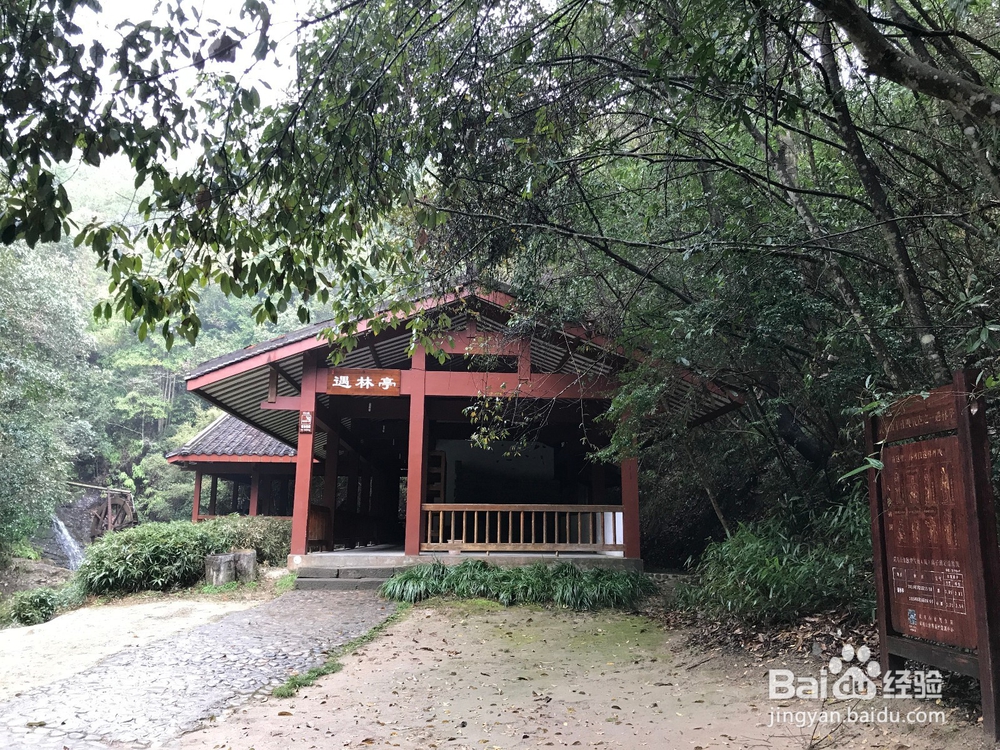 自驾游览武夷山，风景秀丽让人流连忘返！