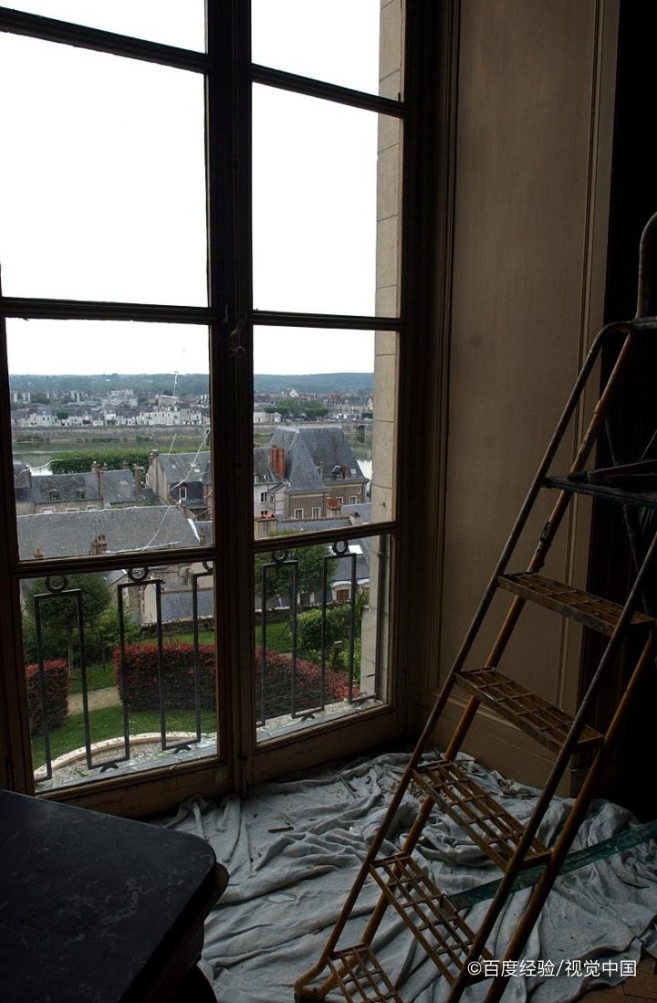 鸟一直撞窗户是怎么回事