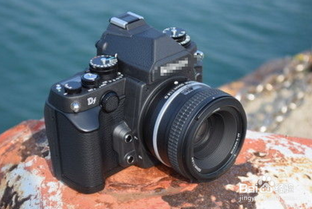 全画幅单反选购攻略