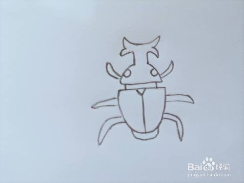 儿童简笔画 怎样画一只甲虫(2)