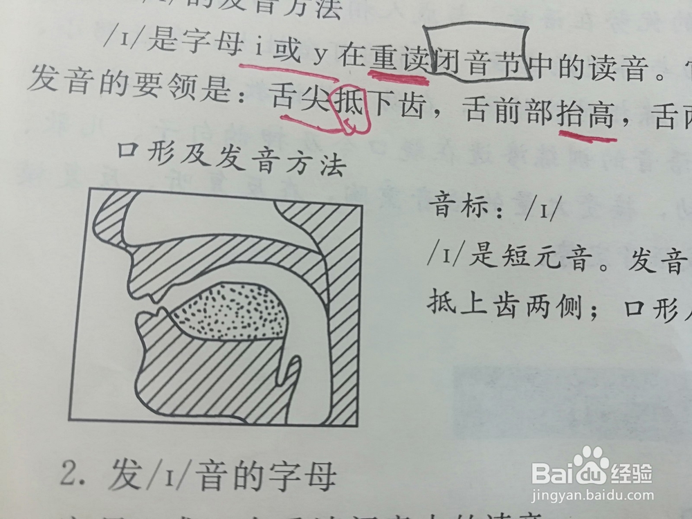 英语音标的前元音如何发音