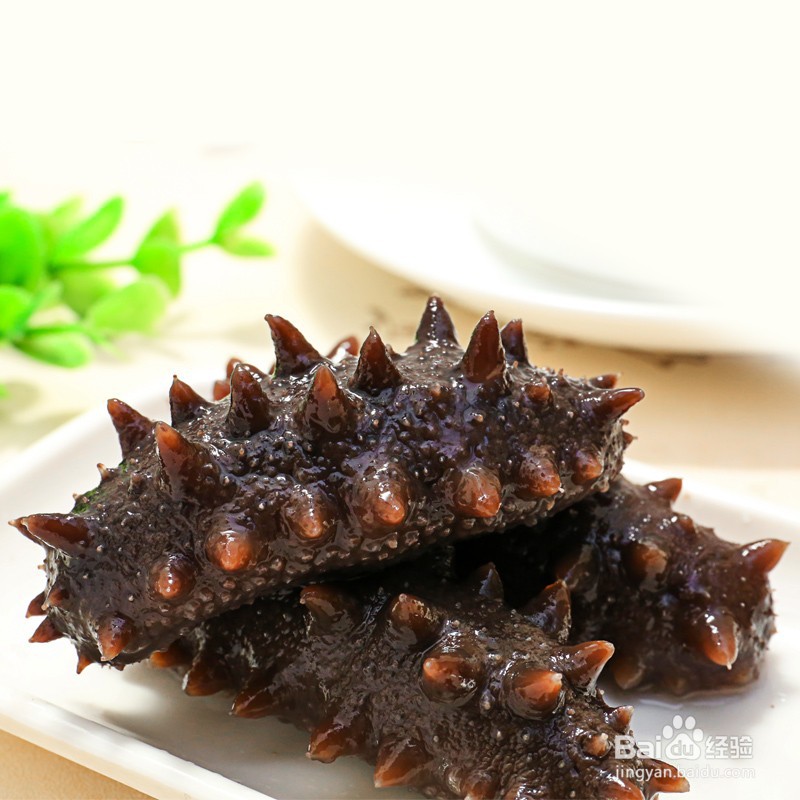 海参的正确吃法有哪些