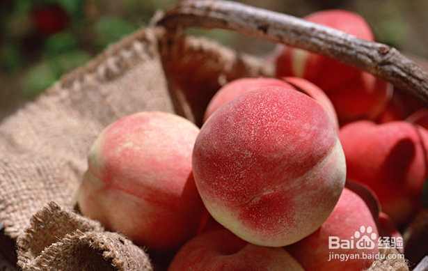 吃桃子吃到虫子怎么办