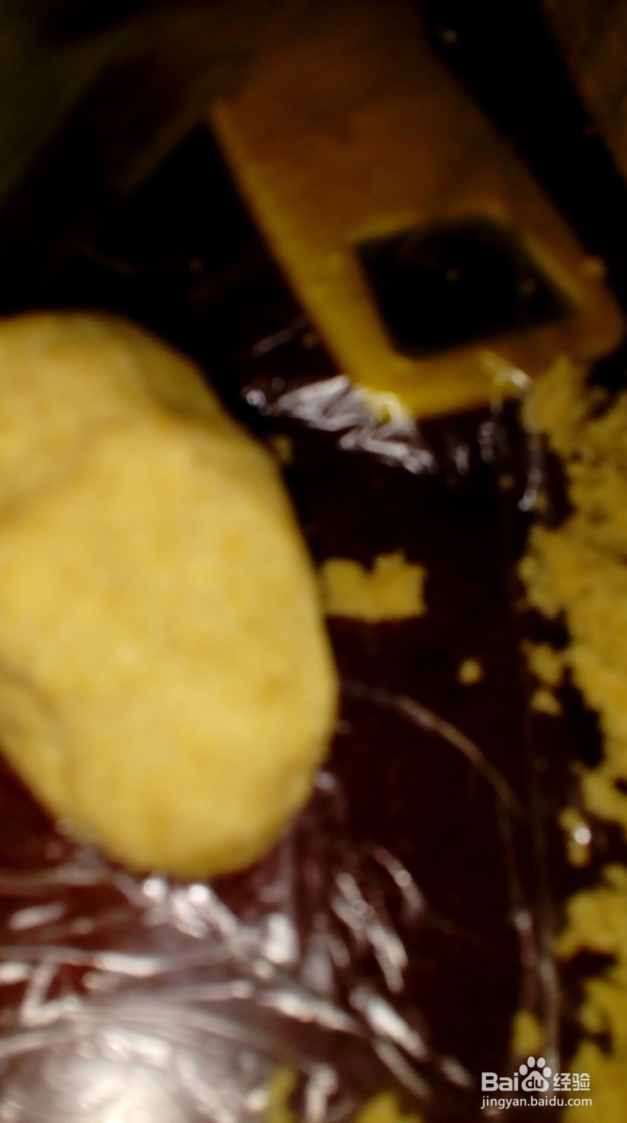 垂钓大型鱼使用的饵料