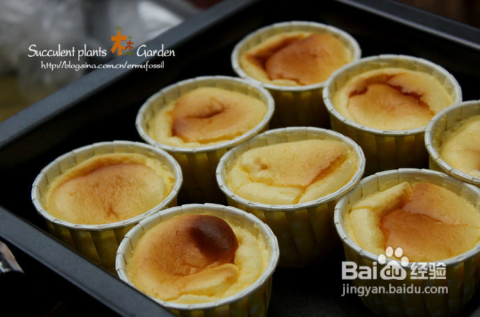 上海植物园（上）