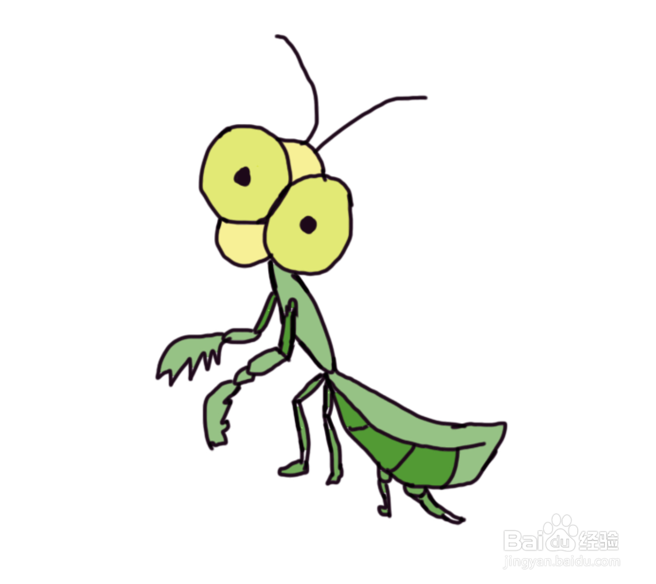怎么画儿童彩色简笔画卡通动物螳螂?