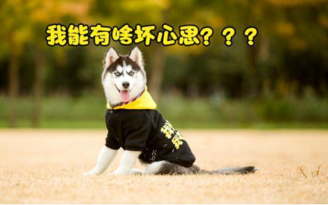 类似我能有什么坏心思呢的文案有哪些