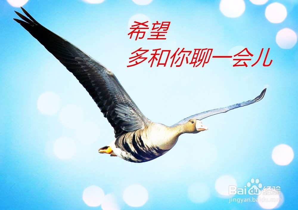 恋爱中男女之间的暗号