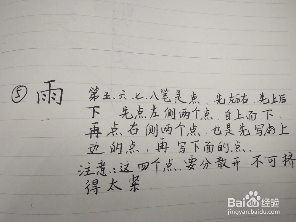 雨的笔顺写法
