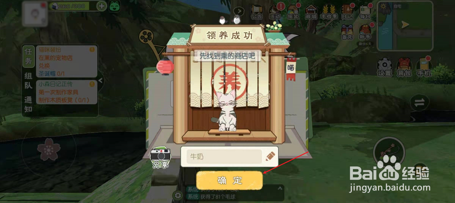 小森生活怎么领养小猫