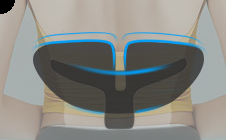 如何评价一款椅子是否符合人体工程学