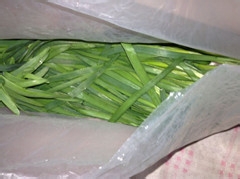 开春菜之炒合菜