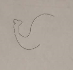 教你画大象的简笔画