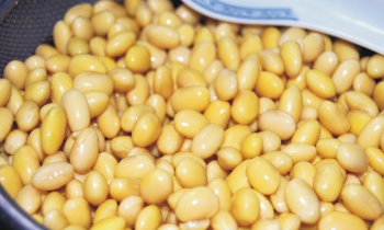 孜然香酥小黄豆