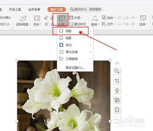 ppt中如何给图片添加阴影效果?