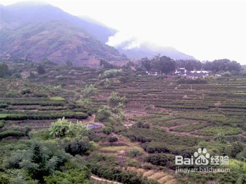 潮州凤凰山旅游指南