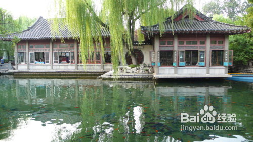 济南泉城广场与趵突泉旅游攻略