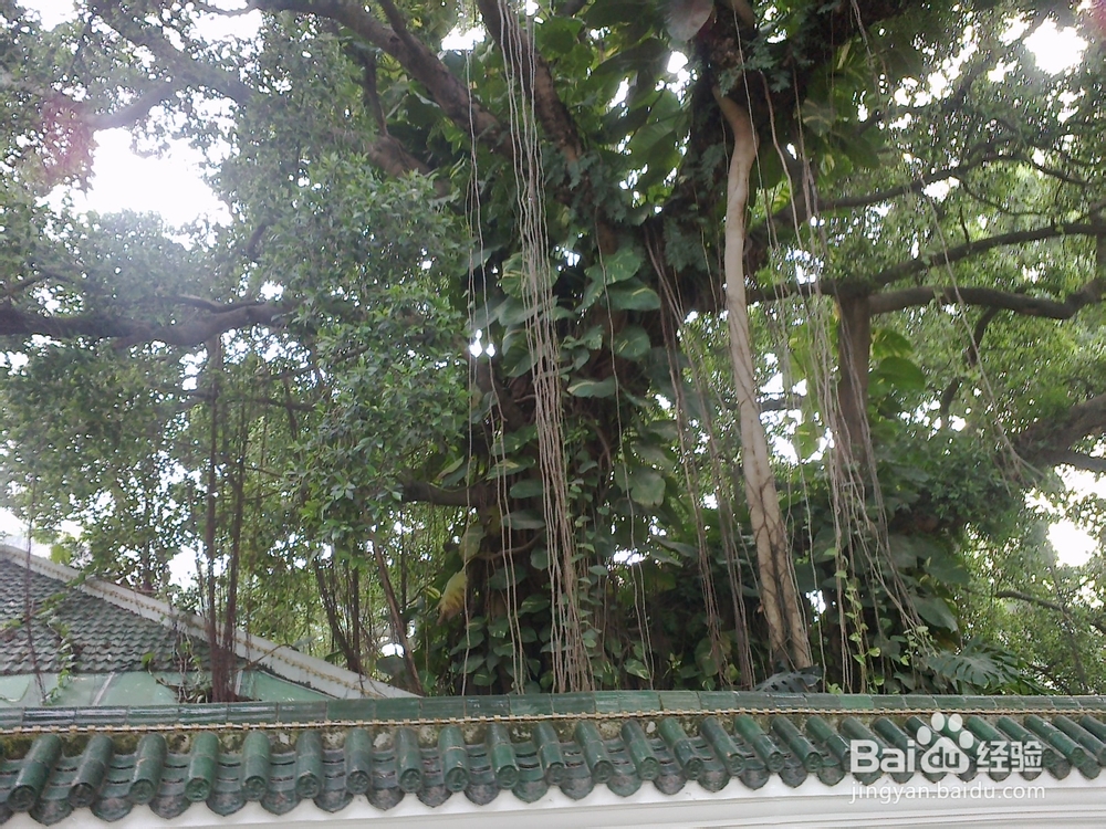 鼓浪屿旅游攻略之菽庄花园