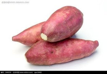 十大营养价值高的蔬菜