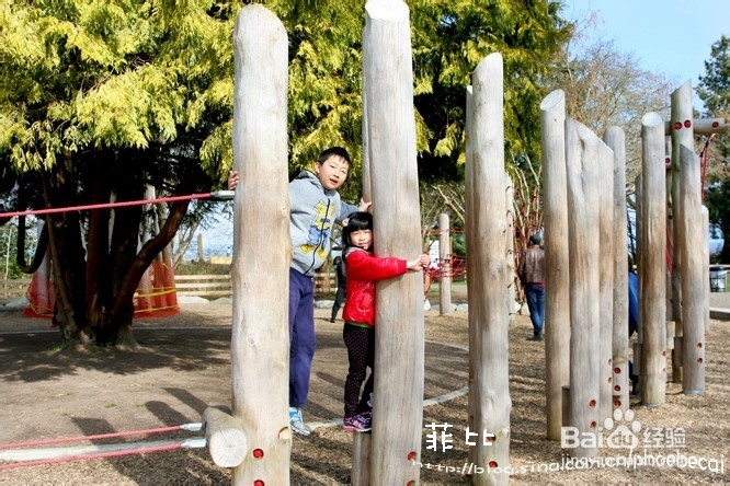 温哥华百万木头公园