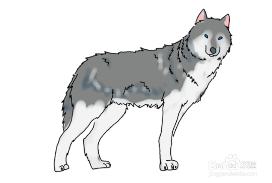 如何画一只站立的狼