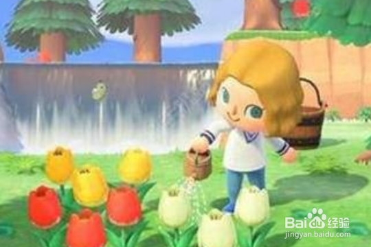 动物之森怎么保存退出？